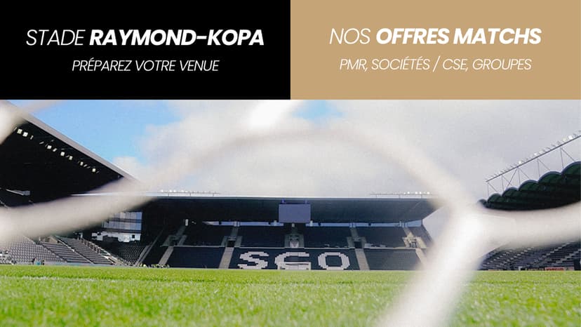 Stade Raymond-Kopa